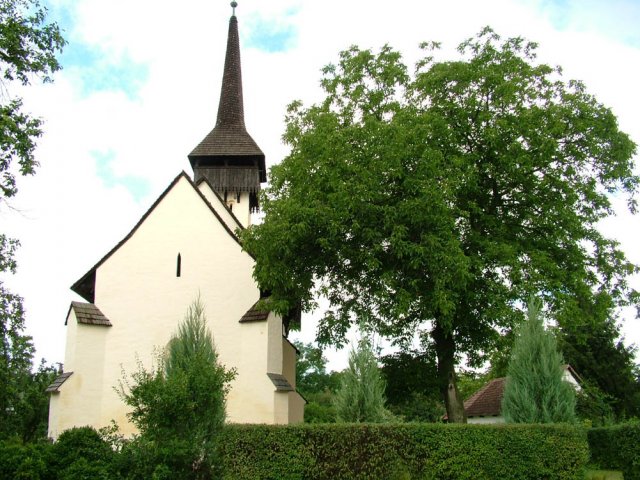 Csaroda 25